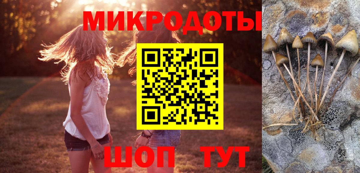 Псилоцибиновые грибы Psilocybine cubensis Юрга