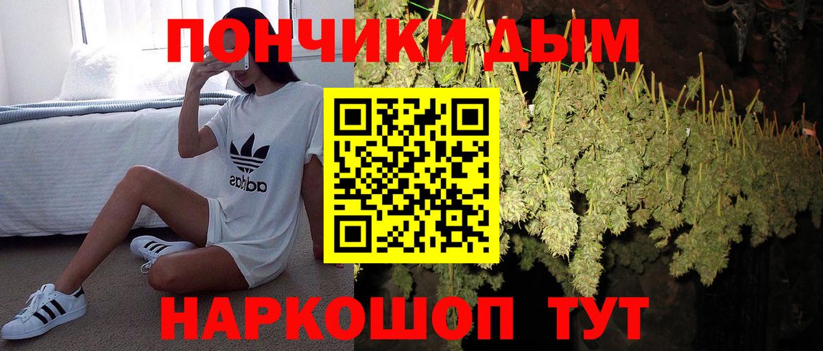 Каннабис семена  Вход с VPN  Юрга  Канабис THC 21% 